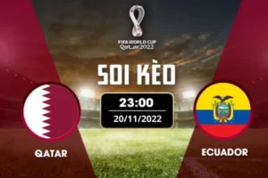 Soi kèo bảng A World Cup: Qatar vs Ecuador