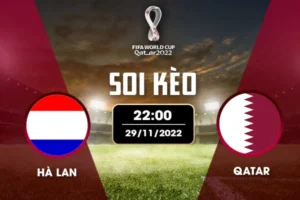 Soi kèo bảng A World Cup: Hà Lan vs Qatar
