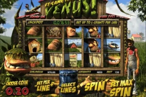 Jackpot It Came kết hợp cá cược và hành động mới lạ