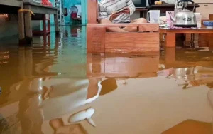 Chiêm bao thấy nước chảy xiết vào nhà báo hiệu tài lộc sắp đến