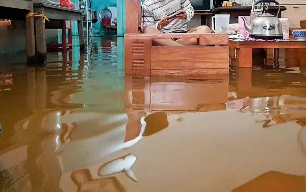 Chiêm bao thấy nước chảy xiết vào nhà báo hiệu tài lộc sắp đến