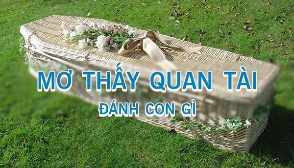 đánh số gì?