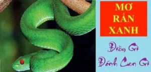Chiêm bao thấy rắn màu xanh có ý nghĩa gì?
