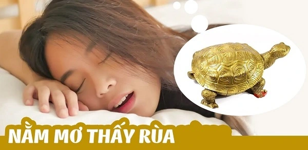 Giải mã ý nghĩa khi chiêm bao thấy có rùa vàng