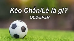Kèo phạt góc Chẵn Lẻ có xác suất thắng là 50%