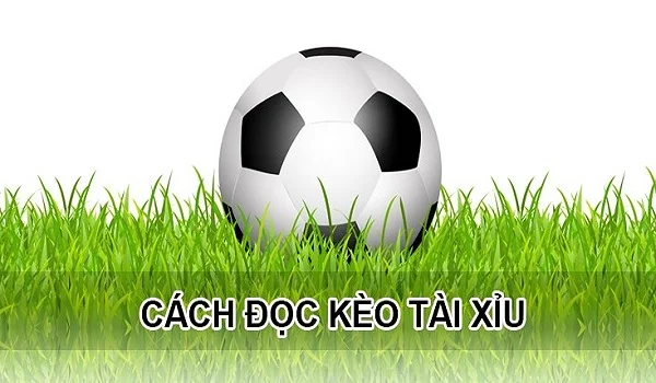 Cách đọc kèo Tài Xỉu vô cùng đơn giản