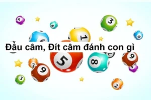 Cách tính toán lô đầu đuôi câm hiệu quả