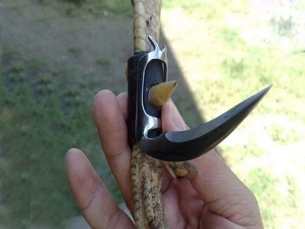 Luật chơi đá gà cựa dao