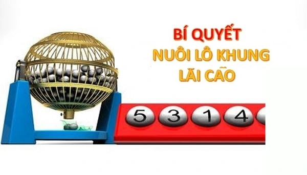 Cách nuôi lô khung hiệu quả, xác suất về cao