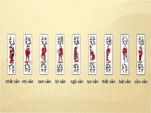 Các thuật ngữ trong chắn phổ biến nhất.