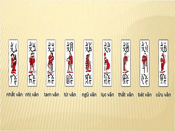 Các thuật ngữ trong chắn phổ biến nhất.