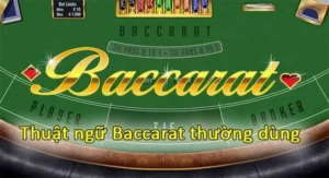 Thuật ngữ bài Baccarat