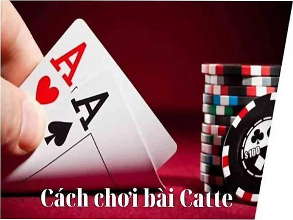 Giới thiệu game bài catte.