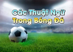 Tìm hiểu các thuật ngữ cá độ bóng đá