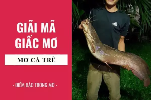 Giải mã bí ẩn giấc mơ thấy cá trê