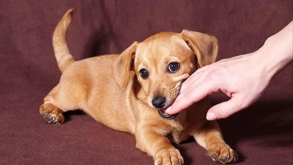 Những con số may mắn nhất để anh em tham khảo nhanh
