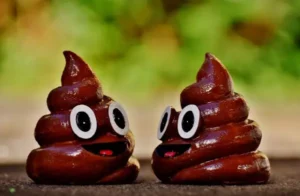 Chiêm bao thấy cức là điều rất đỗi bình thường và hiển nhiên