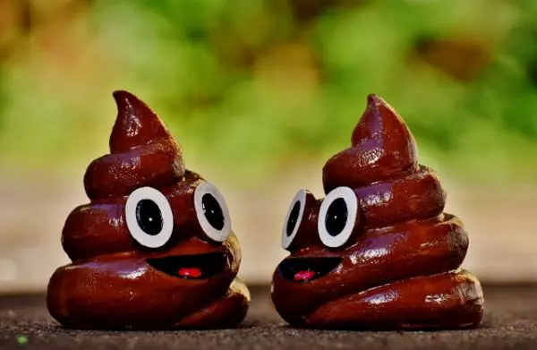 Chiêm bao thấy cức là điều rất đỗi bình thường và hiển nhiên