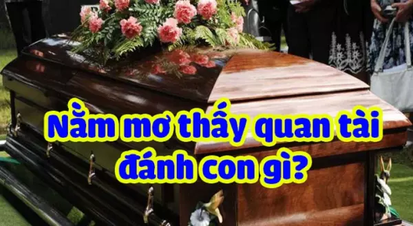 Chiêm bao thấy hòm đánh con gì dễ trúng?