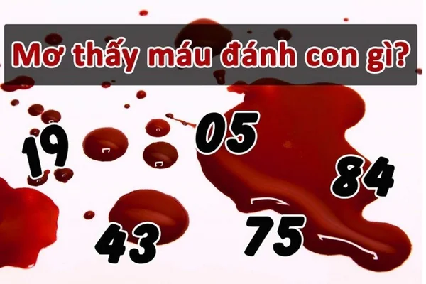 Những con số may mắn khi mơ thấy máu, giúp đánh đâu thắng đó