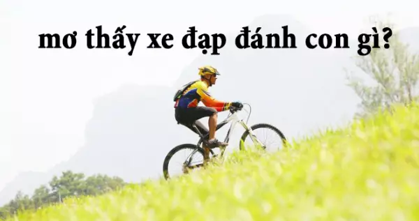 Nằm mộng thấy xe đạp nên đánh con số nào may mắn