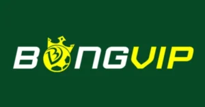 Điều khoản sử dụng Bongvip bạn cần biết