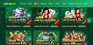 Săn giftcode Bongvip đơn giản dễ dàng