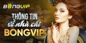 Bongvip là nhà cái uy tín hàng đầu tại Châu Á và cả Châu Âu