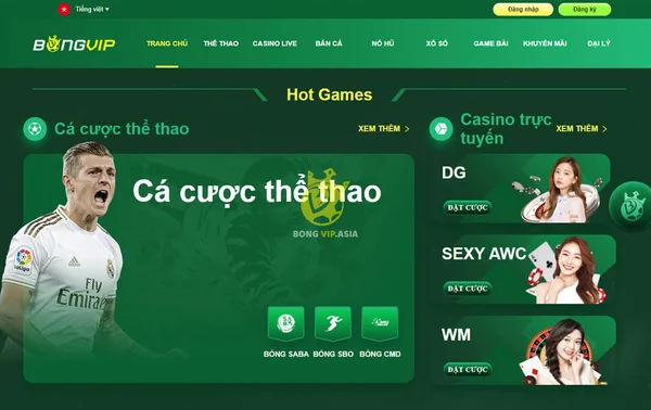 Xem hướng dẫn đăng nhập Bongvip và trải nghiệm những game cá cược hấp dẫn