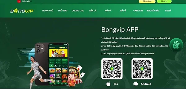 Link tải bongvip - hướng dẫn tải và cài đặt ứng dụng nhanh chóng