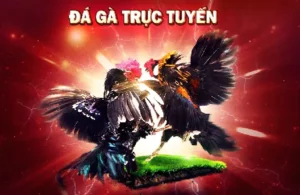 Đá gà online một hình thức giải trí được nhiều người yêu thích