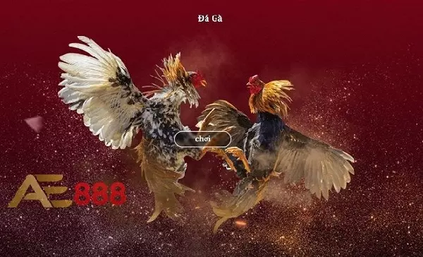 Nhà cái đá gà trực tuyến AE888 chất lượng cao