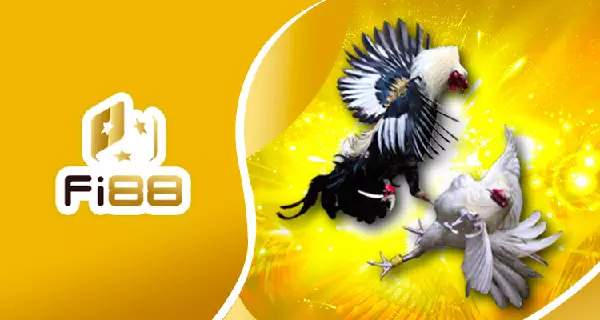Nhà cái Fi88 được người chơi lựa chọn