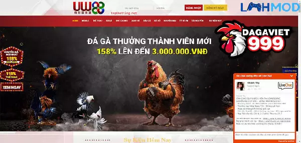 Nhà cái đá gà trực tuyến hấp dẫn - UCW88