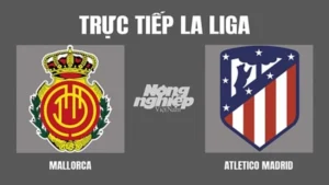 Soi kèo Mallorca vs Atletico Madrid