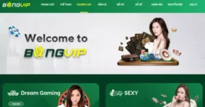 Các cược thể thao rất được yêu thích tại Bongvip