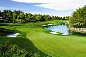 Khu vực green ở sân bóng golf