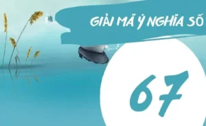 Nằm mơ thấy biển số xe có chứa số 67