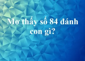 Những con số tài lộc khi nằm mơ thấy số 84 giúp anh em thắng lớn