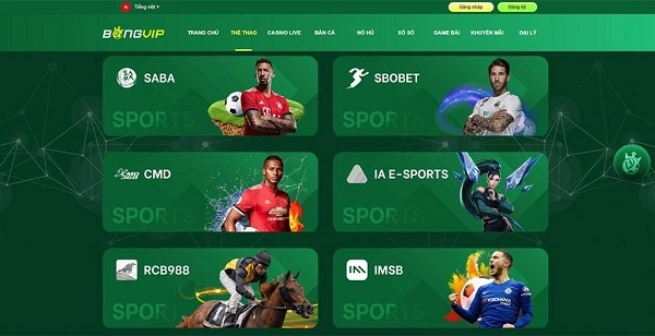 Đa dạng các loại hình game cá cược khác nhau thu hút nhiều người chơi