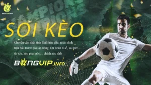 Soi Kèo BONGVIP.INFO