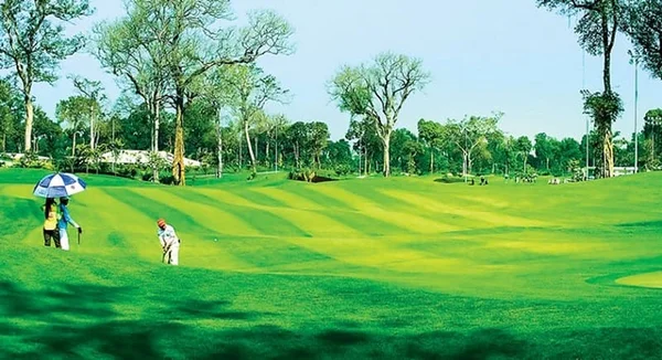 Một số thuật ngữ chỉ khu vực trong một sân golf