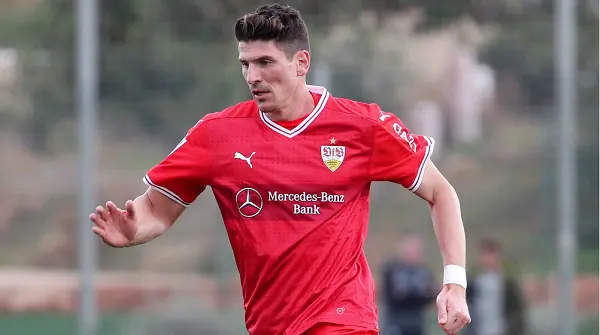 Mario Gomez là cầu thủ ghi bàn nhiều nhất tại Bundesliga mùa 2010-2011