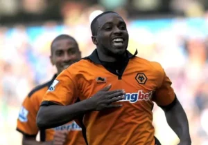 Vua phá lưới Hạng nhất Anh mùa 2008-2009 thuộc về Sylvain Ebanks-Blake