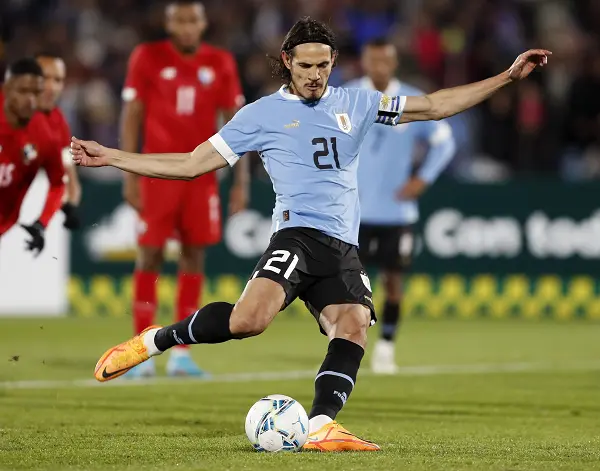Edison Cavani ghi nhiều bàn nhất tại Serie A mùa giải 2012-2013