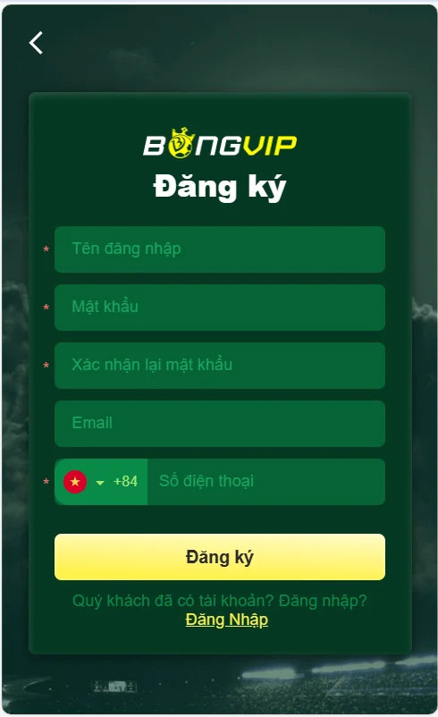 Form đăng ký BONGVIP cần điền