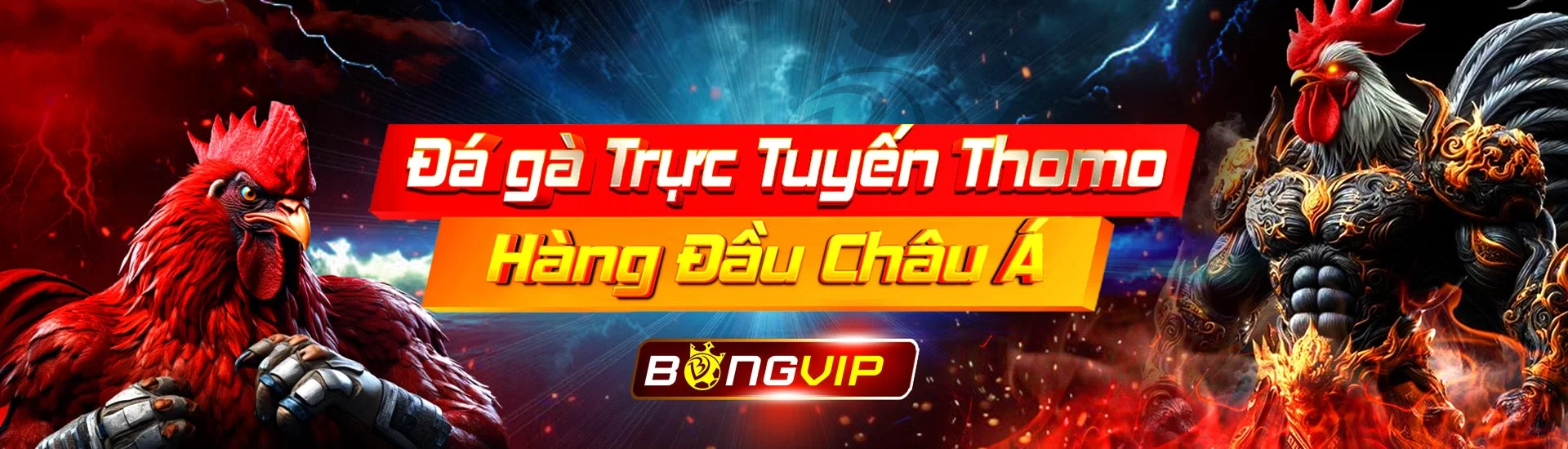 slider-bongvip-3